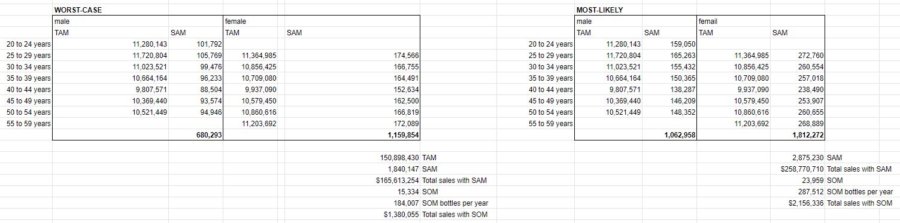 Market Size for a Business Plan top down