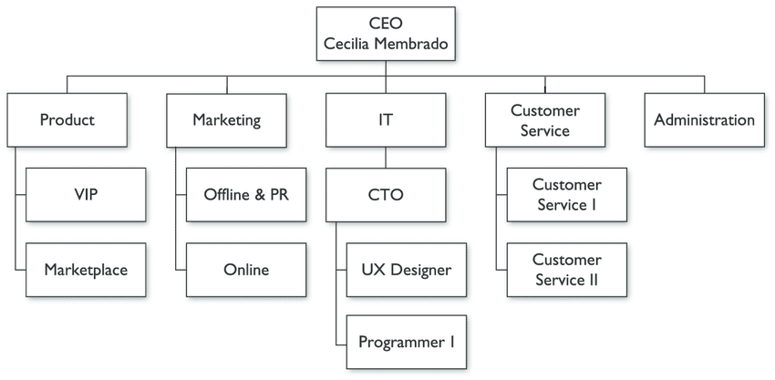 management and organization of a business plan