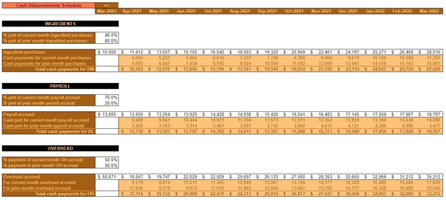 YR 1 CASH BUDGET CASH DISBRRSE